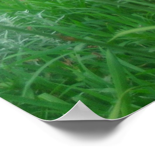 Poster Jours, Orange (Coin)