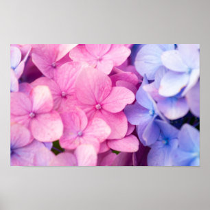 Poster Jours pluvieux