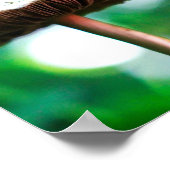Poster Joyau de la forêt (Coin)