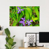 Poster Joyce Kilmer-Slickrock Wilderness 2 (Bureau à domicile)