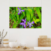 Poster Joyce Kilmer-Slickrock Wilderness 2 (Cuisine)