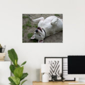 Poster Joyeuse Dogo Argentino (Bureau à domicile)