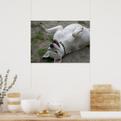 Poster Joyeuse Dogo Argentino (Cuisine)