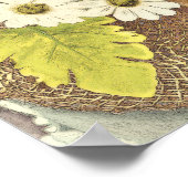 Poster Joyeuses fleurs blanches de la Saint Patrick (Coin)