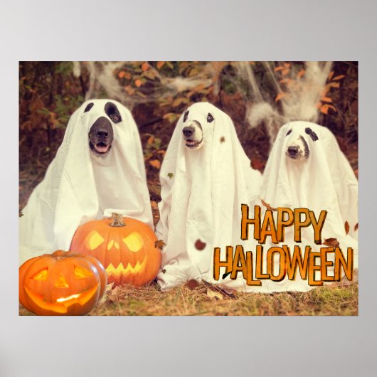 Poster Joyeux Chiens mignons d'Halloween en costumes fant (Devant)