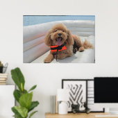 Poster Joyeux Cockapoo Dog Sur Pontoon Boat Sourit (Bureau à domicile)