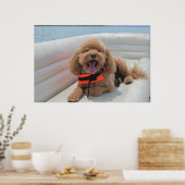 Poster Joyeux Cockapoo Dog Sur Pontoon Boat Sourit (Cuisine)
