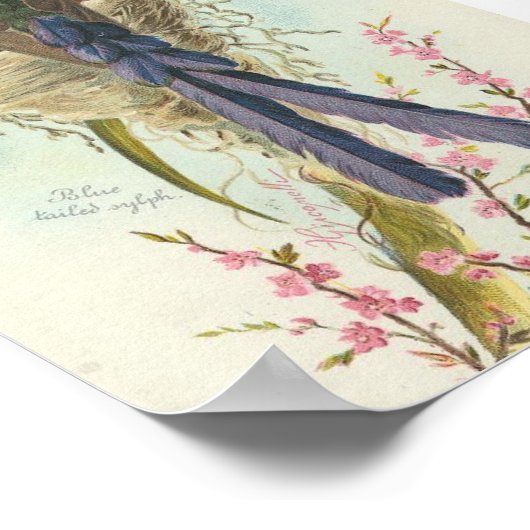 Poster Joyeux Colibri Vintage de Noël (Coin)