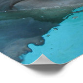 Poster Joyeux dauphin (Coin)