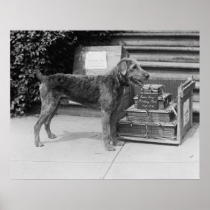 Poster Joyeux garçon de Laddie, 1920