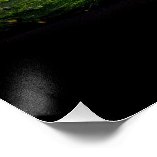 Poster Joyeux Halloween (Coin)