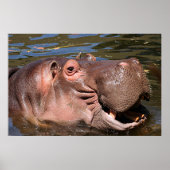 Poster Joyeux hippo (Devant)