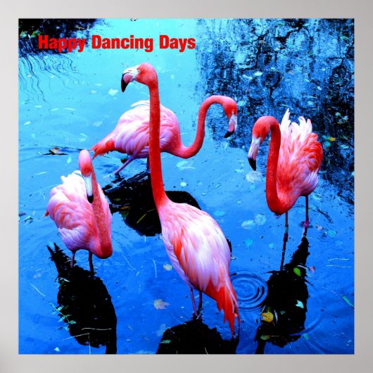 Poster Joyeux Jours de danse flamants (Devant)