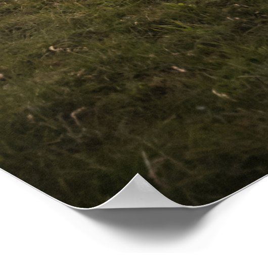 Poster Joyeux mouton (Coin)