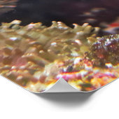 Poster Joyeux nettoyage de Moray (Coin)