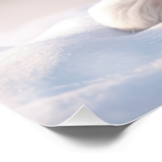 Poster Joyeux Noël, Chih Tzu Chien Chien Puppy 01 - Happy (Coin)