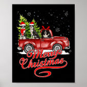 Poster Joyeux Noël Frontière Collie Chiens Père Noël Rein (Devant)