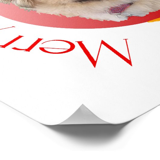 Poster Joyeux Noël Pekingese (Coin)