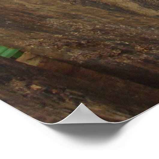 Poster Joyeux porc (Coin)