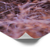 Poster Joyeux Tau, Lion Cub souriant (Coin)