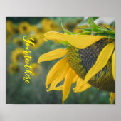 Poster Joyeux tournesol rustique (Devant)