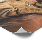 Poster Joyeux Valentines Jour Chat (Coin)