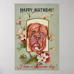 Poster Joyeux voeux d'anniversaire Français mastiff