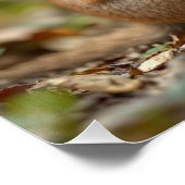 Poster "Joyful Bond : Australian Mama and Baby Quokka" (Coin)