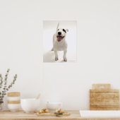Poster Joyful Bull terrier (Cuisine)