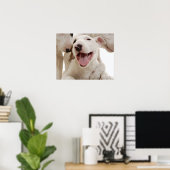 Poster Joyful Bull terriers (Bureau à domicile)