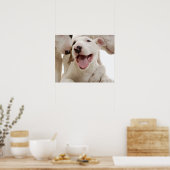 Poster Joyful Bull terriers (Cuisine)