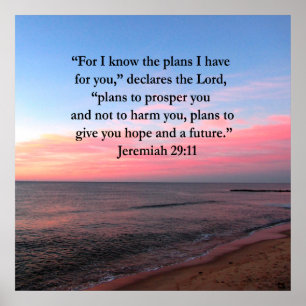 POSTER JOYFUL JEREMIAH 29:11 SCELER