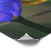 Poster Jubilé d'or (Coin)