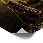 Poster juillet (Coin)