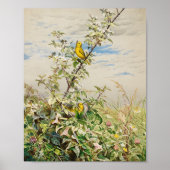 Poster Juin | Ponts Fidelia (Devant)