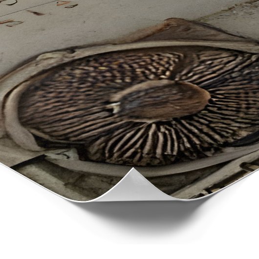 Poster Julius Caesar (Coin)