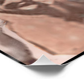 Poster Julius César (Coin)