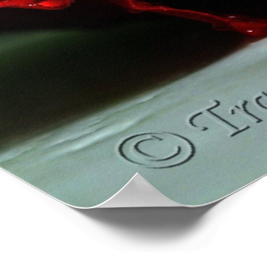 Poster Jumeaux (Coin)