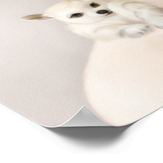 Poster jumeaux (Coin)