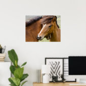 Poster Jument et poulain (Bureau à domicile)