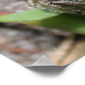 Poster Jumper (Coin)