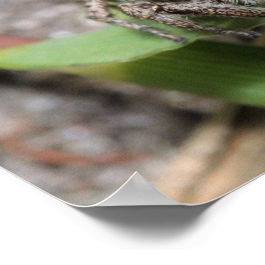 Poster Jumper (Coin)