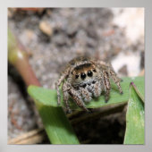 Poster Jumper (Devant)