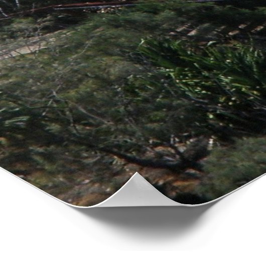 Poster Jumpers Rainbow Bay Australië (Hoek)