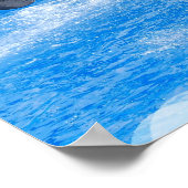 Poster Jumping Orca Whale (Coin)