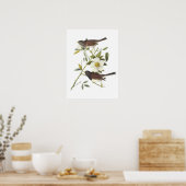 Poster Junco aux yeux foncés par Audubon (Cuisine)