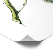 Poster Junco aux yeux sombres - John James Audubon (Coin)
