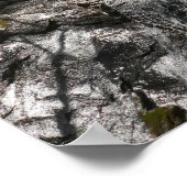 Poster Juney Whank Falls at Smoky Mountains (Coin)