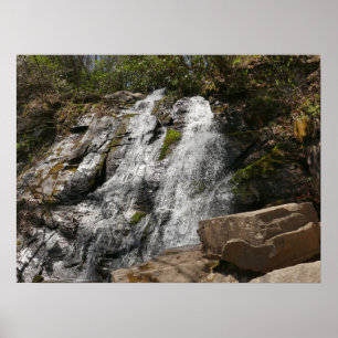 Poster Juney Whank Falls dans les montagnes Smoky