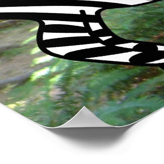 Poster Jungle (Coin)